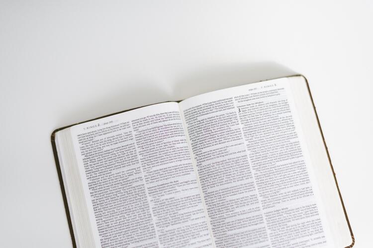 The Holy Bible