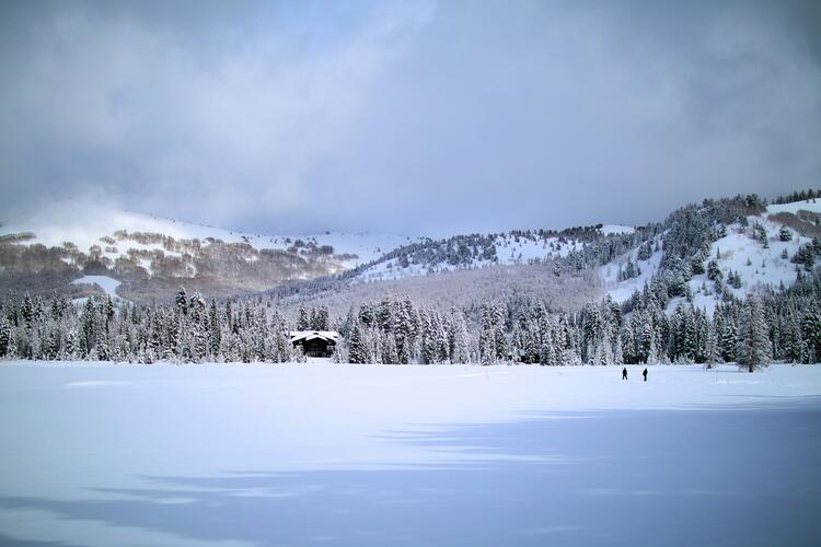 snow and mountains