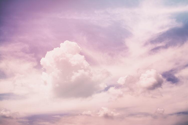 Pink Sunrise